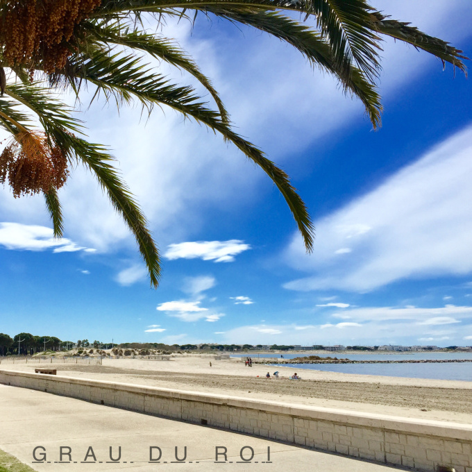 Offres de vente Rez de jardin Le Grau-du-Roi (30240)